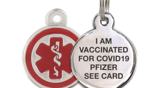 Pfizer Vaccine Charm