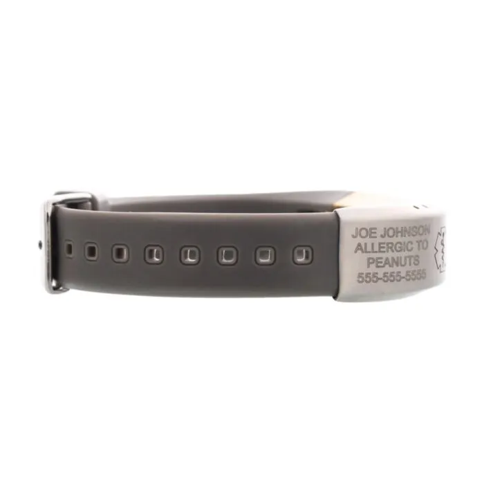 Fitbit alta belt 2025